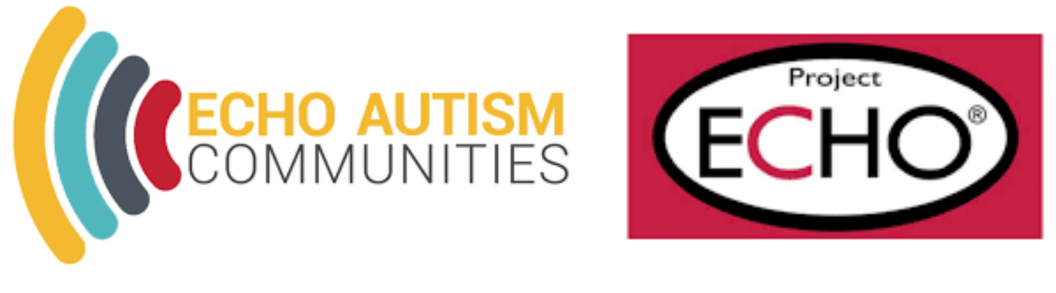 Echo Autism: Moving Knowledge, Not People